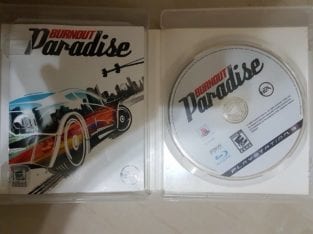 Burnout: Paradise