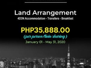 Tokyo Free and Easy Land Arrangement