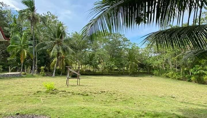 HOUSE AND LOT FOR SALE – Argao, Cebu