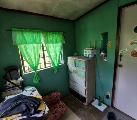 HOUSE AND LOT FOR SALE –