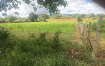 Big Lot for sale near La Huerta Farms in Calamba