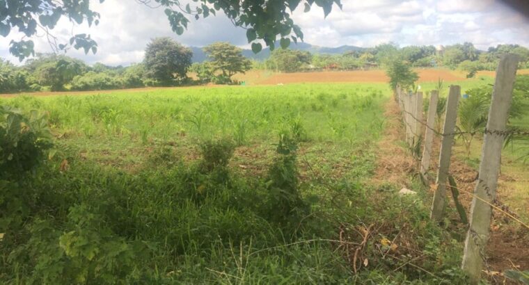 Big Lot for sale near La Huerta Farms in Calamba