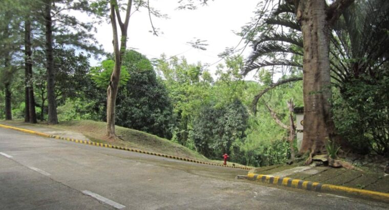 Canyon Woods vacant lot for sale near Tagaytay